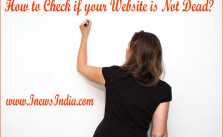 How to Check if your Website is Not Dead?