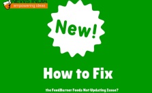 How to Fix the FeedBurner Feeds Not Updating Issue?