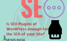 Is SEO Plugins of WordPress enough for the SEO of your Site?