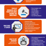 Infographic on Quick Guide to Directors & Officers Liability Insurance Policy!