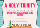 A Holy Trinity for the nature lover: Bandipur, Nagarhole and Kabini