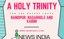 A Holy Trinity for the nature lover: Bandipur, Nagarhole and Kabini
